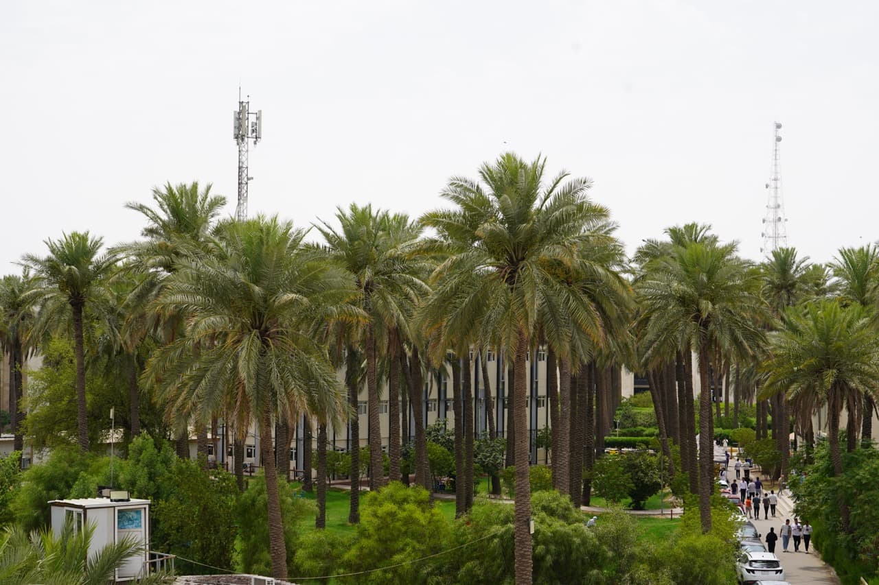 حملة زراعة عشرة آلاف شجرة عن طريق القلم البيئي